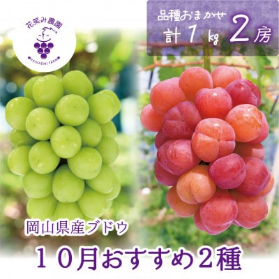 【2026年先行受付】岡山　花笑み農園のブドウ『10月おすすめ 2種セット』1kg(2房)2M-1L【配送不可地域：離島・北海道・沖縄県】