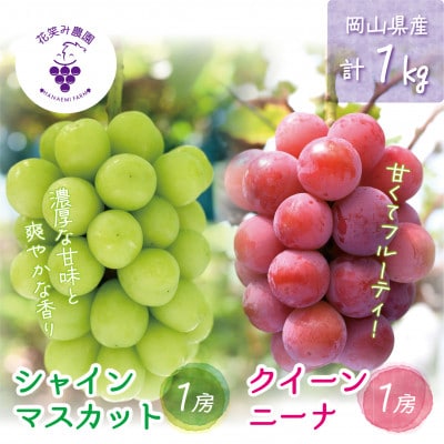 【2026年先行受付】岡山　花笑み農園の『クイーンニーナ＆シャインマスカット』1kg(2房)QS-1【配送不可地域：離島・北海道・沖縄県】