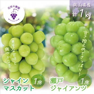 【2026年先行受付】岡山　花笑み農園の『シャインマスカット＆瀬戸ジャイアンツ』1kg(2房)GS【配送不可地域：離島・北海道・沖縄県】