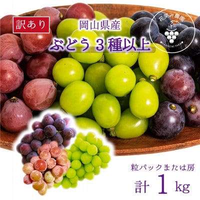 【2026年先行受付】岡山　花笑み農園のブドウ『訳あり3種以上MIX』1kg　W3M-1【配送不可地域：離島・北海道・沖縄県】