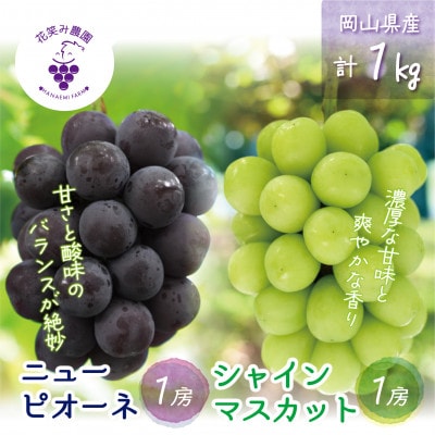 【2026年先行受付】岡山　花笑み農園の『ニューピオーネ＆シャインマスカット』1kg(2房)PS-1【配送不可地域：離島・北海道・沖縄県】