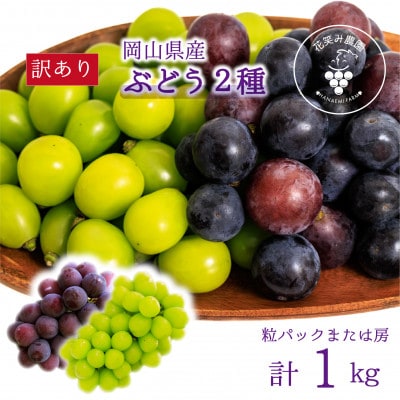 【2026年先行受付】岡山　花笑み農園のブドウ『訳あり2種MIX』1kg　W2M-1【配送不可地域：離島・北海道・沖縄県】