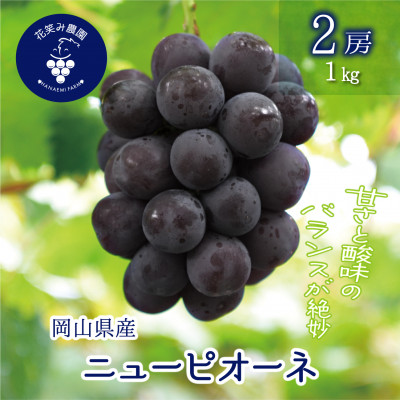 【2026年先行受付】岡山　花笑み農園の『ニューピオーネ』1kg(2房)　P-1【配送不可地域：離島・北海道・沖縄県】