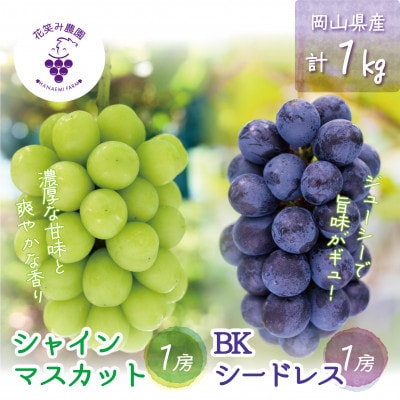 【2026年先行受付】岡山　花笑み農園『シャインマスカット＆BKシードレス』1kg(2房)BS-1【配送不可地域：離島・北海道・沖縄県】