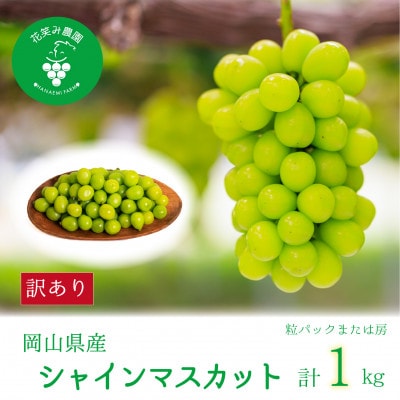 【2026年先行受付】岡山　花笑み農園の『訳ありシャインマスカット』1kg　WS-1【配送不可地域：離島・北海道・沖縄県】