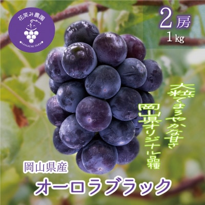 【2026年先行受付】岡山　花笑み農園のブドウ『オーロラブラック』1kg(2房)　A-1【配送不可地域：離島・北海道・沖縄県】