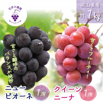 【2026年先行受付】岡山　花笑み農園の『ニューピオーネ＆クイーンニーナ』1kg(2房)　PQ-1【配送不可地域：離島・北海道・沖縄県】
