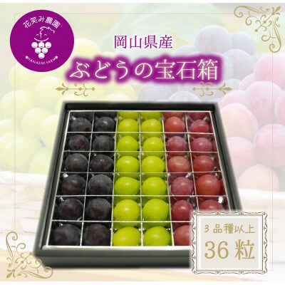 【2026年先行受付】岡山　花笑み農園『ブドウの宝石箱』3種以上(36粒入り)　3M-宝36【配送不可地域：離島・北海道・沖縄県】