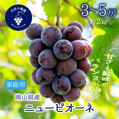 【2026年先行受付】岡山　花笑み農園の『ニューピオーネ』家庭用　約2kg(3～5房)　P-2家【配送不可地域：離島】