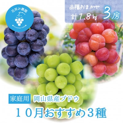 【2026年先行受付】岡山　花笑み農園の『10月おすすめ3種』家庭用　1.8kg(3房)3M-2L家【配送不可地域：離島】