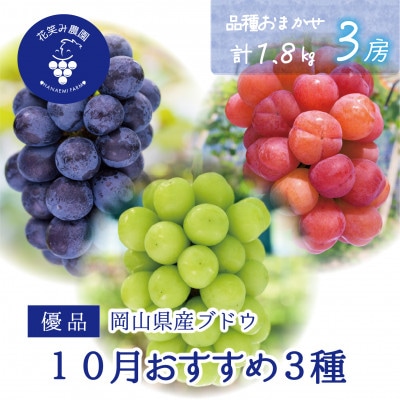 【2026年先行受付】岡山　花笑み農園の『10月おすすめ3種』優品　1.8kg(3房)3M-2L優【配送不可地域：離島】