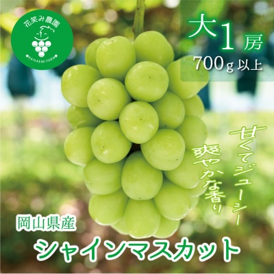 【2026年先行受付】岡山　花笑み農園の『シャインマスカット』700g以上(大1房)S-大1【配送不可地域：離島】