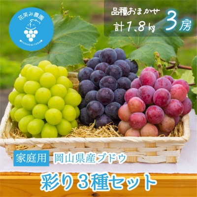 【2026年先行受付】岡山　花笑み農園のブドウ『彩り3種セット』家庭用　1.8kg(3房)3M-2家【配送不可地域：離島】