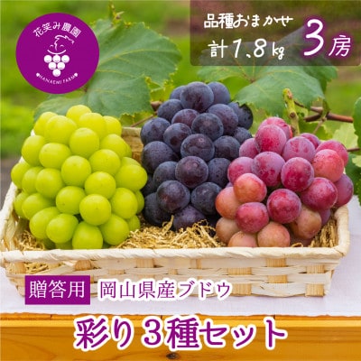 【2026年先行受付】岡山　花笑み農園のブドウ『彩り3種セット』贈答用　1.8kg(3房)3M-2上【配送不可地域：離島】