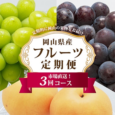 【発送月固定定期便】A 岡山県産 シャインマスカット(晴王)・あたご梨ほか全3回【配送不可地域：離島・北海道・沖縄県】
