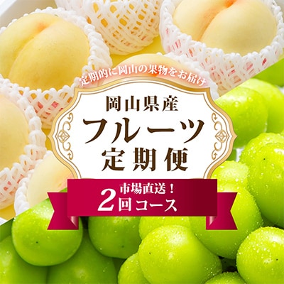 【発送月固定定期便】岡山県産 白桃・シャインマスカット(晴王)全2回【配送不可地域：離島・北海道・沖縄県】