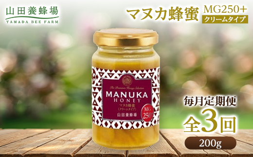 【毎月定期便】マヌカ蜂蜜(クリームタイプ)MG250+(22178)全3回