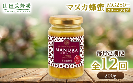 【毎月定期便】マヌカ蜂蜜(クリームタイプ)MG250+(22178)全12回