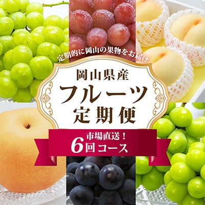 【発送月固定定期便】岡山県産 フルーツ定期便全6回【配送不可地域：離島・北海道・沖縄県】