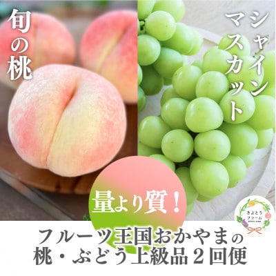 【発送月固定定期便】【2026年先行予約】桃とシャインマスカット どっちも食べたい便(岡山産)全2回【配送不可地域：離島・北海道・沖縄県】