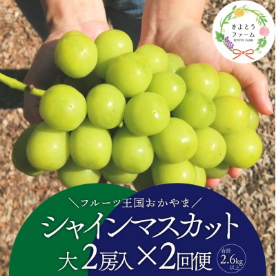 【発送月固定定期便】【2026年先行予約】シャインマスカット大2房の満足便/全便計2.6kg～全2回【配送不可地域：離島】