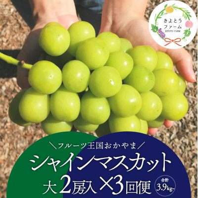 【発送月固定定期便】【2026年先行予約】シャインマスカットを楽しむ満足便/全便計3.9kg～全3回【配送不可地域：離島】