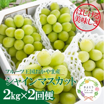 【発送月固定定期便】【2026年先行予約】シャインマスカットを楽しむ満足便/全便計4.0kg～全2回【配送不可地域：離島】