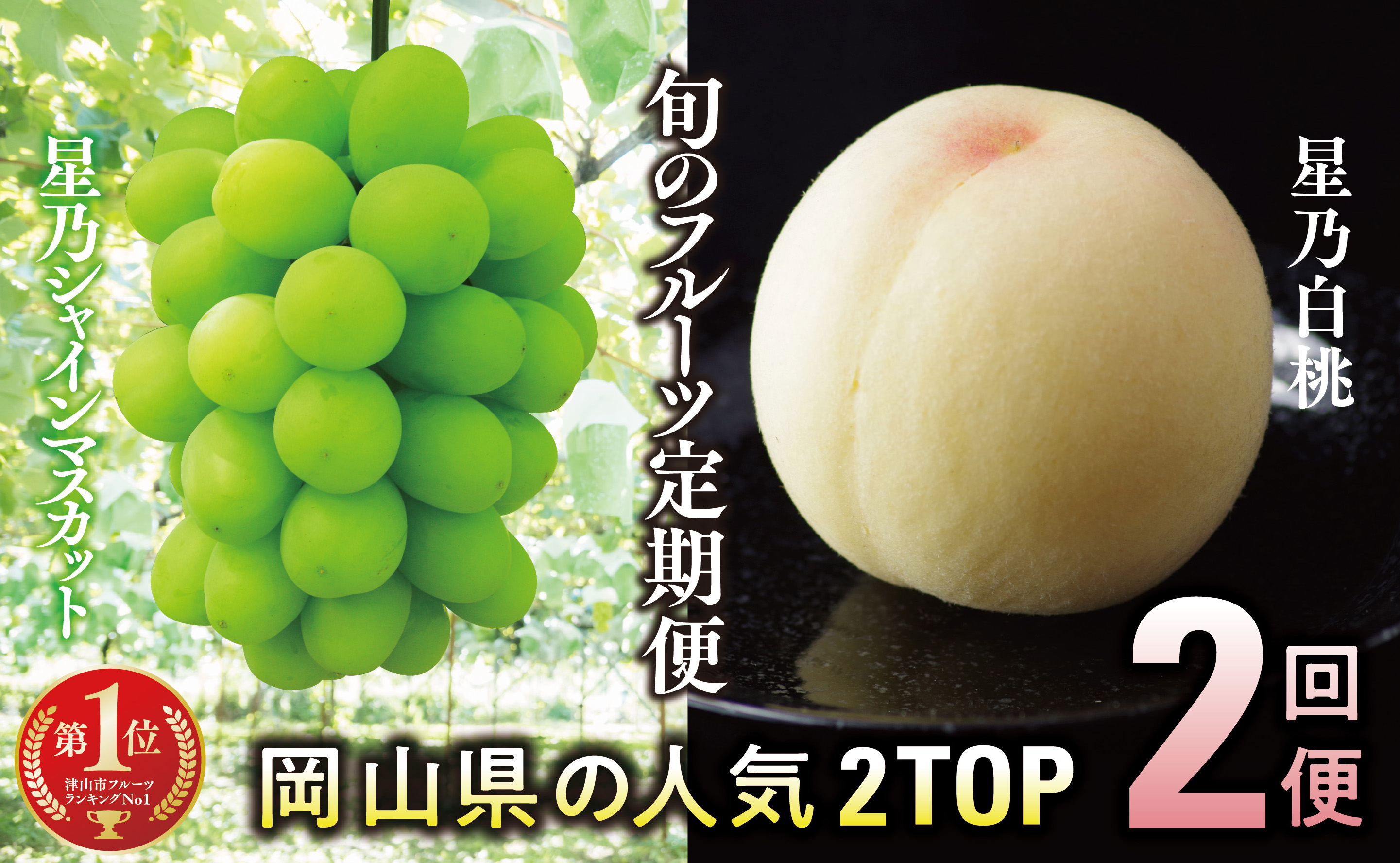【発送月固定定期便】【人気セット】星乃フルーツ 桃+シャインマスカット全2回【配送不可地域：離島・北海道・沖縄県】