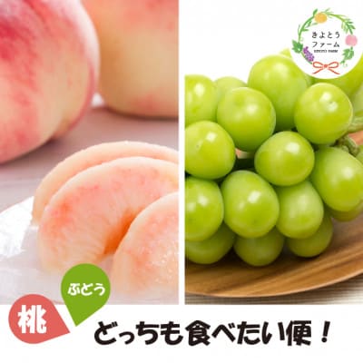 【発送月固定定期便】【2026年先行予約】桃と葡萄どっちも食べたい便!【お試し便】(岡山県産)全2回【配送不可地域：離島・北海道・沖縄県】