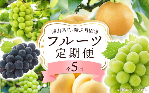 【発送月固定定期便】岡山県産 フルーツ定期便全5回【配送不可地域：離島・北海道・沖縄県】