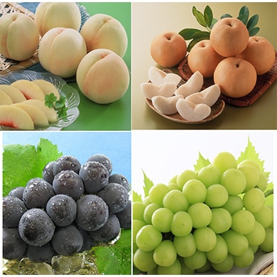 【発送月固定定期便】岡山旬の果物定期便(白桃・種なしぶどう・新高梨) 全3回【配送不可地域：離島・北海道・沖縄県】