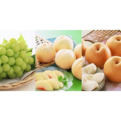 【発送月固定定期便】岡山旬の果物定期便(白桃・シャインマスカット・新高梨) 全3回【配送不可地域：離島・北海道・沖縄県】