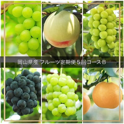 【発送月固定定期便】岡山県産 フルーツ定期便B全5回【配送不可地域：離島・北海道・沖縄県】