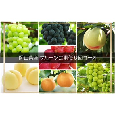 【発送月固定定期便】岡山県産 フルーツ定期便全6回【配送不可地域：離島・北海道・沖縄県】