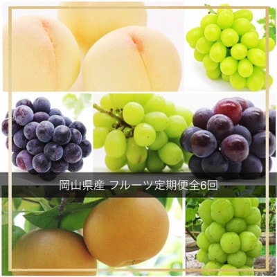 【発送月固定定期便】岡山県産 フルーツ定期便全6回【配送不可地域：離島・北海道・沖縄県】