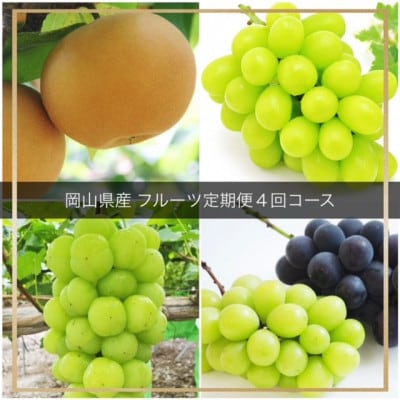 【発送月固定定期便】岡山県産 フルーツ定期便全4回【配送不可地域：離島・北海道・沖縄県】