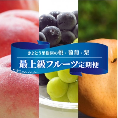 【発送月固定定期便】【2026年先行予約】桃、ぶどう、梨の最上級品を旬にお届け3回便(岡山産)全3回【配送不可地域：離島・北海道・沖縄県】