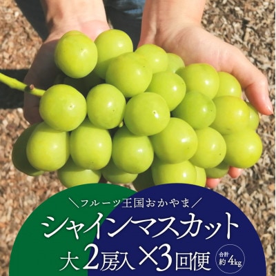【発送月固定定期便】【2026年先行予約】シャインマスカットを楽しむ満足便/全便計3.9kg～全3回【配送不可地域：離島】