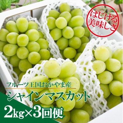 【発送月固定定期便】【2026年先行予約】シャインマスカットを楽しむ満足便/全便計6.0kg～全3回【配送不可地域：離島】
