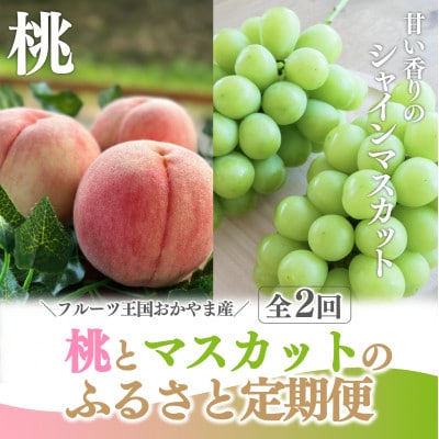 【発送月固定定期便】【2026年先行予約】桃とシャインマスカットが産地直送!ご家庭用定期便全2回【配送不可地域：離島・北海道・沖縄県】