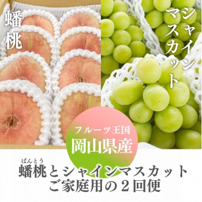 【発送月固定定期便】【きよとうファーム】蟠桃とシャインマスカットのご家庭用を岡山から産地直送全2回【配送不可地域：離島・北海道・沖縄県】