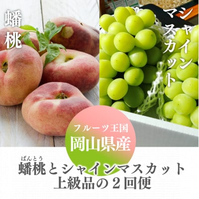 【発送月固定定期便】【きよとうファーム】蟠桃とシャインマスカットの上級品を岡山から産地直送全2回【配送不可地域：離島・北海道・沖縄県】