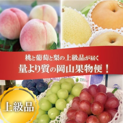 【発送月固定定期便】【2026年先行予約】岡山の桃、ぶどう、梨を産地直送!多品種を楽しむ定期便全3回【配送不可地域：離島・北海道・沖縄県】
