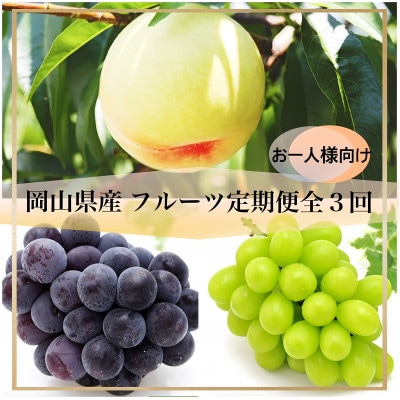 【発送月固定定期便】岡山県産 フルーツ定期便〈お一人様向け〉全3回【配送不可地域：離島・北海道・沖縄県】