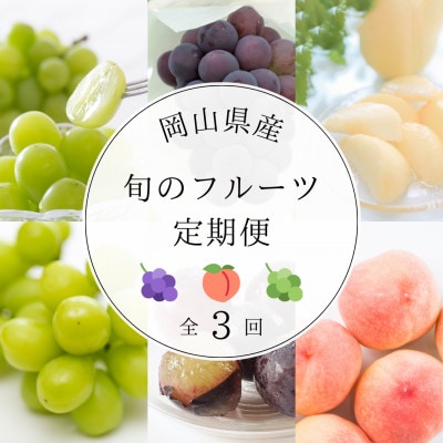 【発送月固定定期便】岡山県産旬のフルーツ定期便全3回【配送不可地域：離島・北海道・沖縄県】