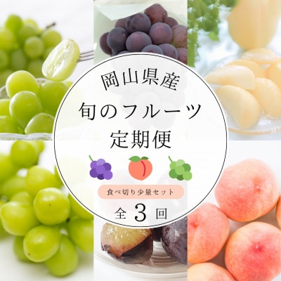 【発送月固定定期便】岡山県産旬のフルーツ定期便　少量セット全3回【配送不可地域：離島・北海道・沖縄県】