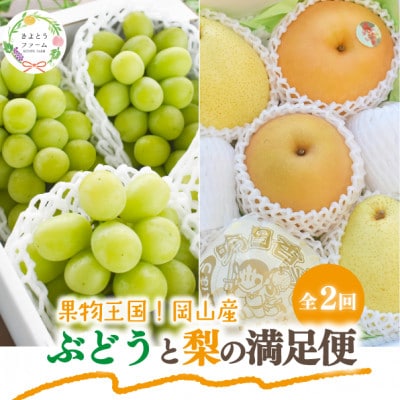 【発送月固定定期便】【2026年先行予約】シャインマスカット計2kg～と梨2-3種上級品岡山産全2回【配送不可地域：離島】