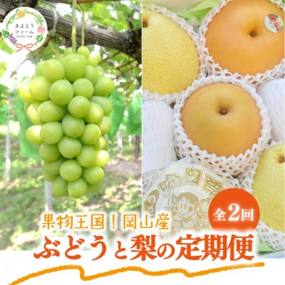 【発送月固定定期便】【2026年先行予約】シャインマスカット大2房と梨2-3種上級品(岡山産)全2回【配送不可地域：離島】