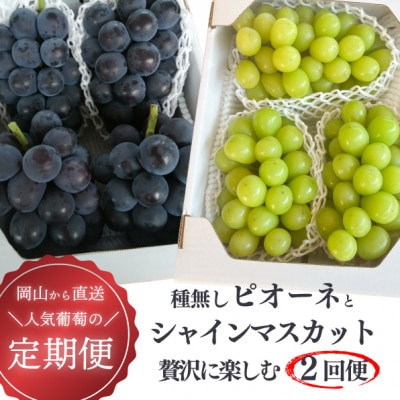 【発送月固定定期便】【2026年先行予約】ピオーネとシャインマスカットの2回便!(岡山県産)全2回【配送不可地域：離島】