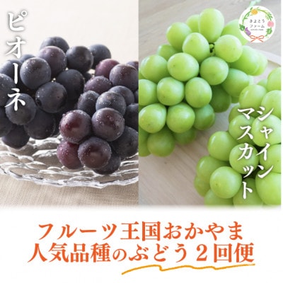 【発送月固定定期便】【2026年先行予約】ピオーネとシャインマスカット大2房の定期便(岡山産)全2回【配送不可地域：離島】